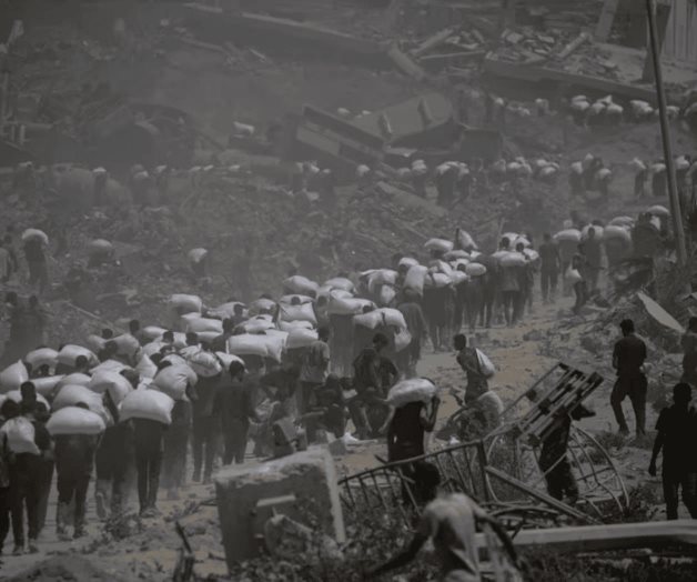 Desnutrición alcanza niveles alarmantes en Gaza: OMS Desnutrición alcanza niveles alarmantes en Gaza: OMS