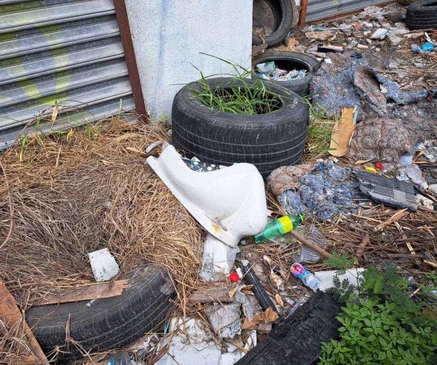 ¡Buscan hacerle frente al dengue!