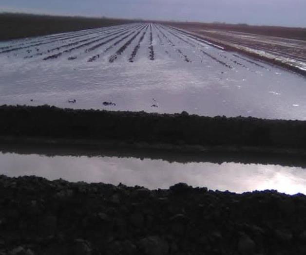 Abren las ventanillas para  tecnificar parcelas en el 026