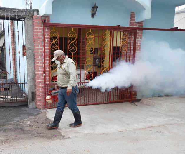 ¡Buscan hacerle frente al dengue!