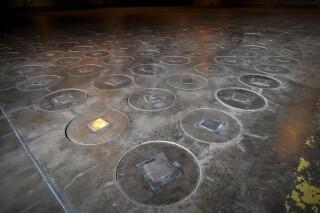 Trabajadores descubren radiación en nido de avispas Trabajadores descubren radiación en nido de avispas