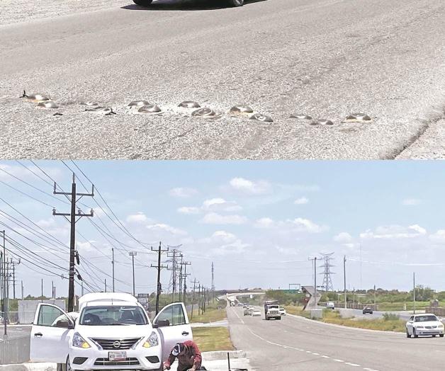 &iexcl;No libran &acute;ponchallantas&acute;!