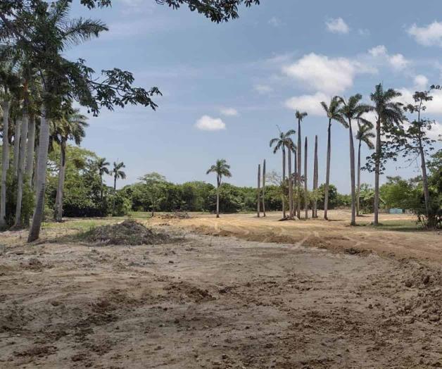 Exigen investigar tala en la ´Casa de la Naturaleza´ Exigen investigar tala en la ´Casa de la Naturaleza´