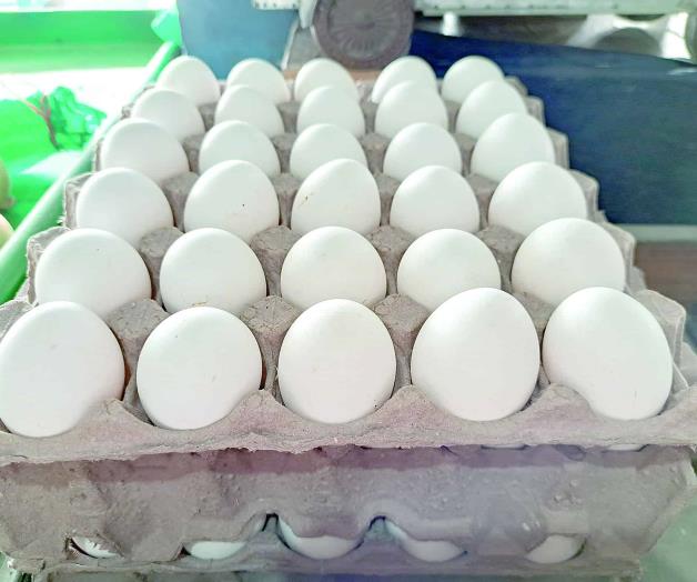 Inicia agosto con aumento al precio de huevo y aguacate Inicia agosto con aumento al precio de huevo y aguacate