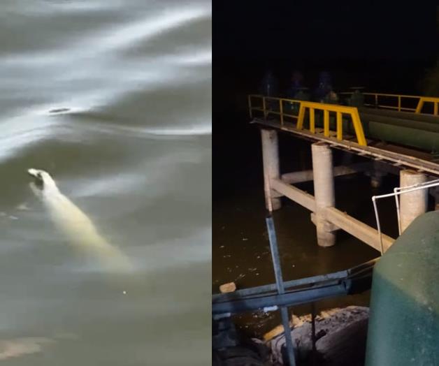 Brazo flotando en canal de Río Bravo provoca movilización de autoridades