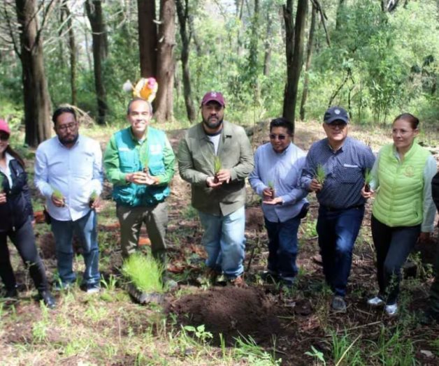 Magdalena Contreras recupera Bosque de Agua tras incendios