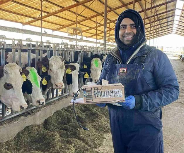 Transforman lecherías con Inteligencia Artificial Transforman lecherías con Inteligencia Artificial