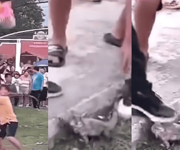 Niños rompen piñata con animales vivos en Campeche