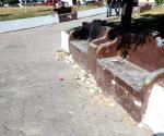 Convierten en basurero la Plaza Benito Juárez