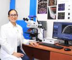 Suma UAT más investigadores
