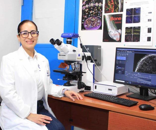 Suma UAT más investigadores Suma UAT más investigadores