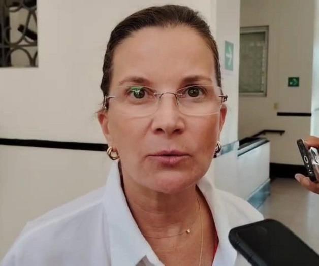 No hay cancelación de proyectos por inseguridad No hay cancelación de proyectos por inseguridad