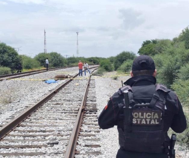 Tren embiste a jinete y su caballo en Casas; ambos pierden la vida Tren embiste a jinete y su caballo en Casas; ambos pierden la vida