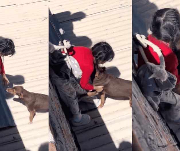 Emotivo rescate de perro por madre e hija se vuelve viral en redes Emotivo rescate de perro por madre e hija se vuelve viral en redes