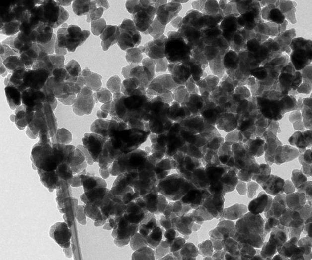 Nuevo enfoque para curar las enfermedades cerebrales Nuevo enfoque para curar las enfermedades cerebrales