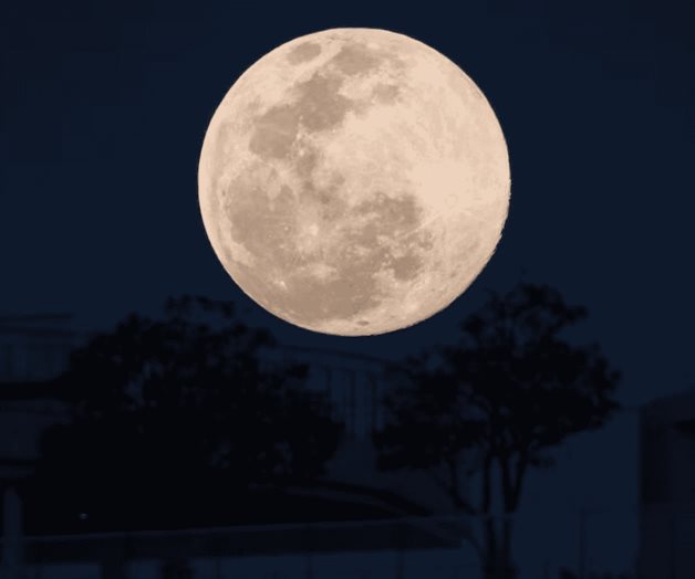 Luna de Esturi&oacute;n 2025: &iquest;a qu&eacute; hora ver el fen&oacute;meno astron&oacute;mico?