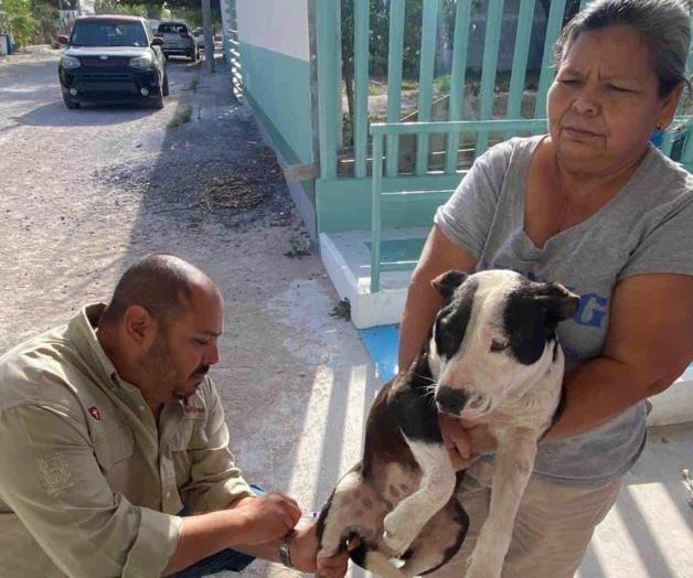 Sigue campa&ntilde;a contra la rabia