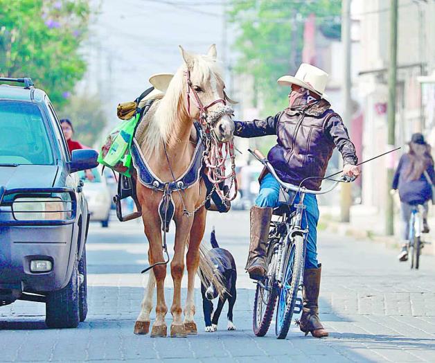 Proponen libre tránsito a animales deportivos