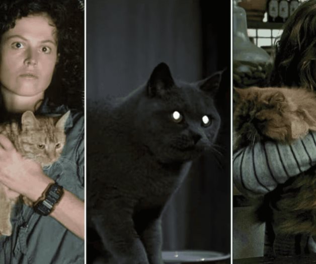 Recordando a los felinos más famosos del cine en su día especial Recordando a los felinos más famosos del cine en su día especial