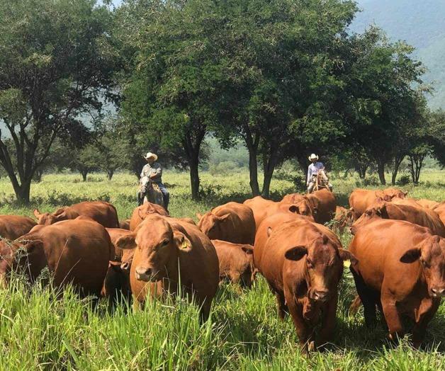 Tamaulipas, l&iacute;der en actividades primarias