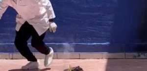 Investigan maltrato animal en Universidad EDUCEM de Guanajuato