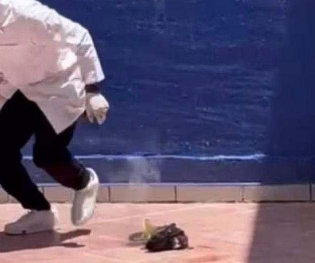 Investigan maltrato animal en Universidad EDUCEM de Guanajuato