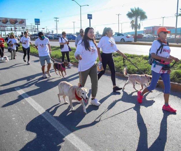 Invitan a carrera perruna