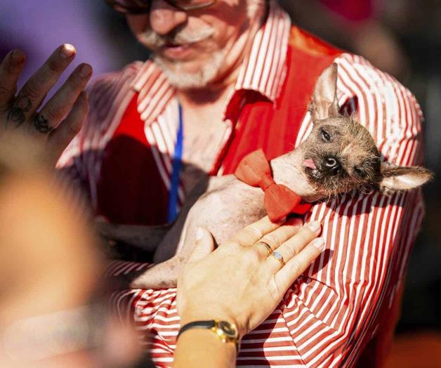 Celebran en feria el concurso del perro m&aacute;s feo del mundo