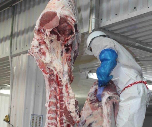 Da respiro verdura,  pero sube la carne