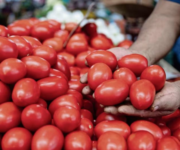 Consejo nacional agropecuario apoya medida de precios m&iacute;nimos en exportaciones de jitomate