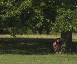 Ola de calor en Europa provoca incendios forestales y alerta roja en Francia