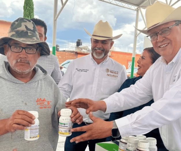Plaga de chapul&iacute;n afecta 6 mil hect&aacute;reas de cultivo en Durango