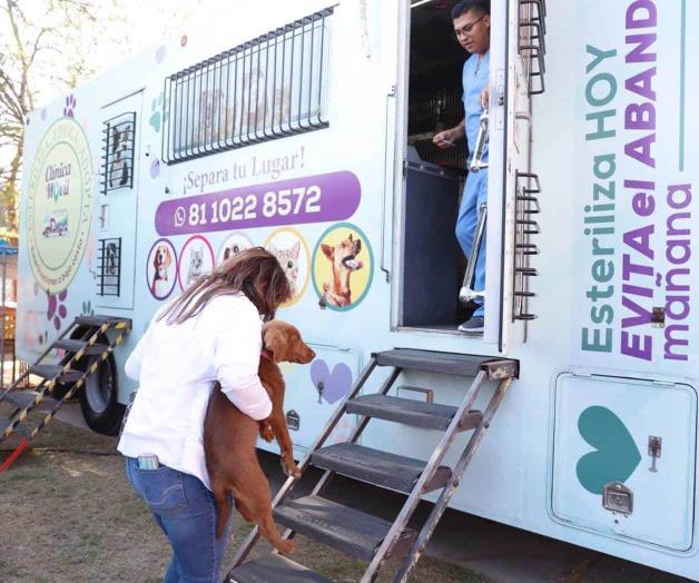 Invita N. Laredo a campaña de esterilización Invita N. Laredo a campaña de esterilización