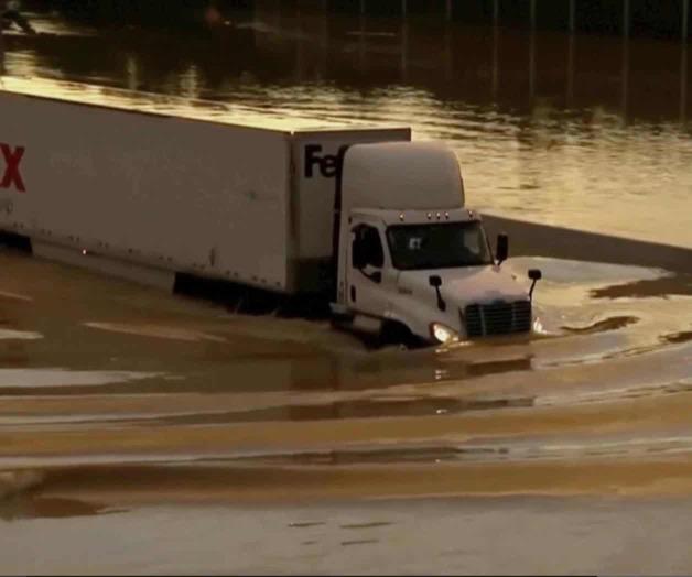 Tragedia en Tennessee: familia muere al caer &aacute;rbol sobre su auto