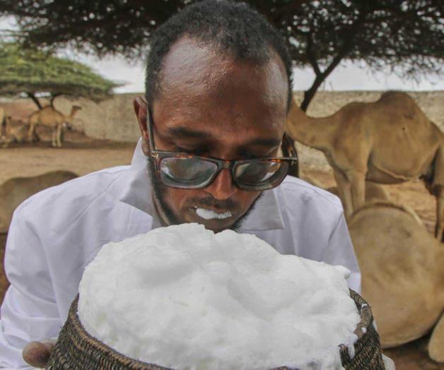 Innovación con yogur de leche de camello en la industria láctea somalí Innovación con yogur de leche de camello en la industria láctea somalí