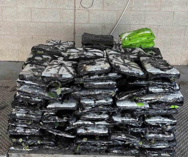 Decomisan metanfetamina en un cargamento de rosas Decomisan metanfetamina en un cargamento de rosas