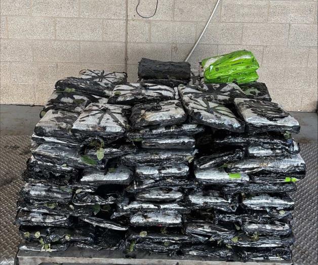 Incautan metanfetamina en cargamento de rosas