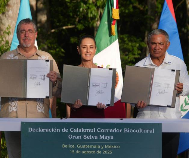 Anuncian proteger la gran Selva Maya