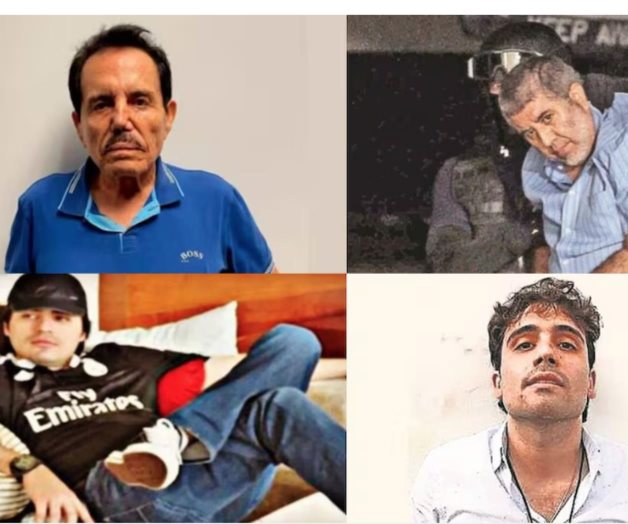 Declaraciones de culpabilidad de narcotraficantes mexicanos