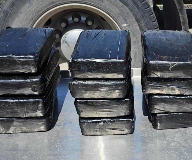 Cae casi medio millón de dólares en cocaína