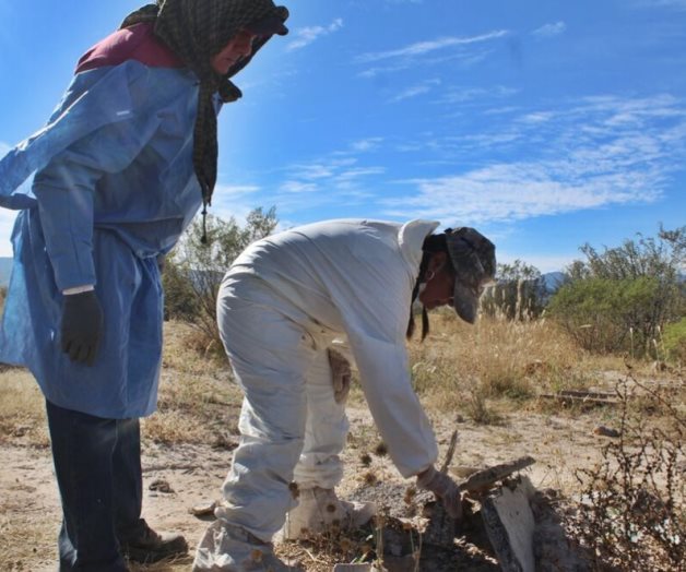 Iniciativa en el Senado busca otorgar protecci&oacute;n legal a madres buscadoras de desaparecidos