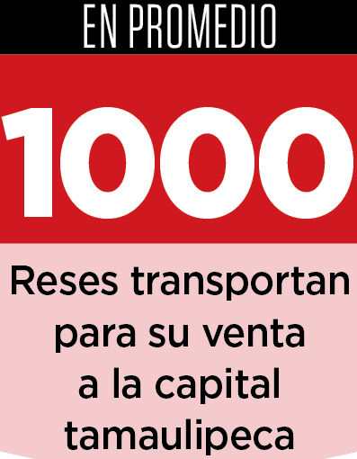 Comercializan ganado en subasta de ciudad Victoria
