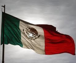 México no comparte fallo contra empresa de servicios