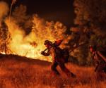 Incendios forestales amagan casas; causan evacuaciones