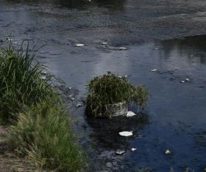 El daño ambiental del dren de Las Mujeres