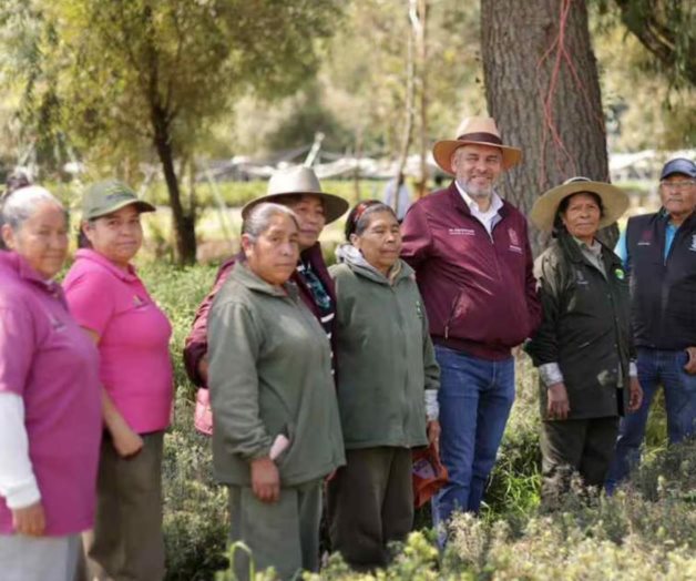 Michoac&aacute;n impulsa conservaci&oacute;n del zapote prieto