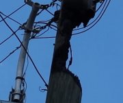 Denuncian vecinos fallas eléctricas en la Chapultepec