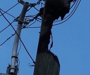 Denuncian vecinos fallas eléctricas en la Chapultepec