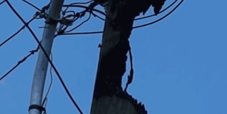 Denuncian vecinos fallas eléctricas en la Chapultepec