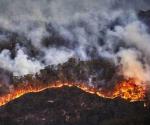 Activan multas por incendios forestales